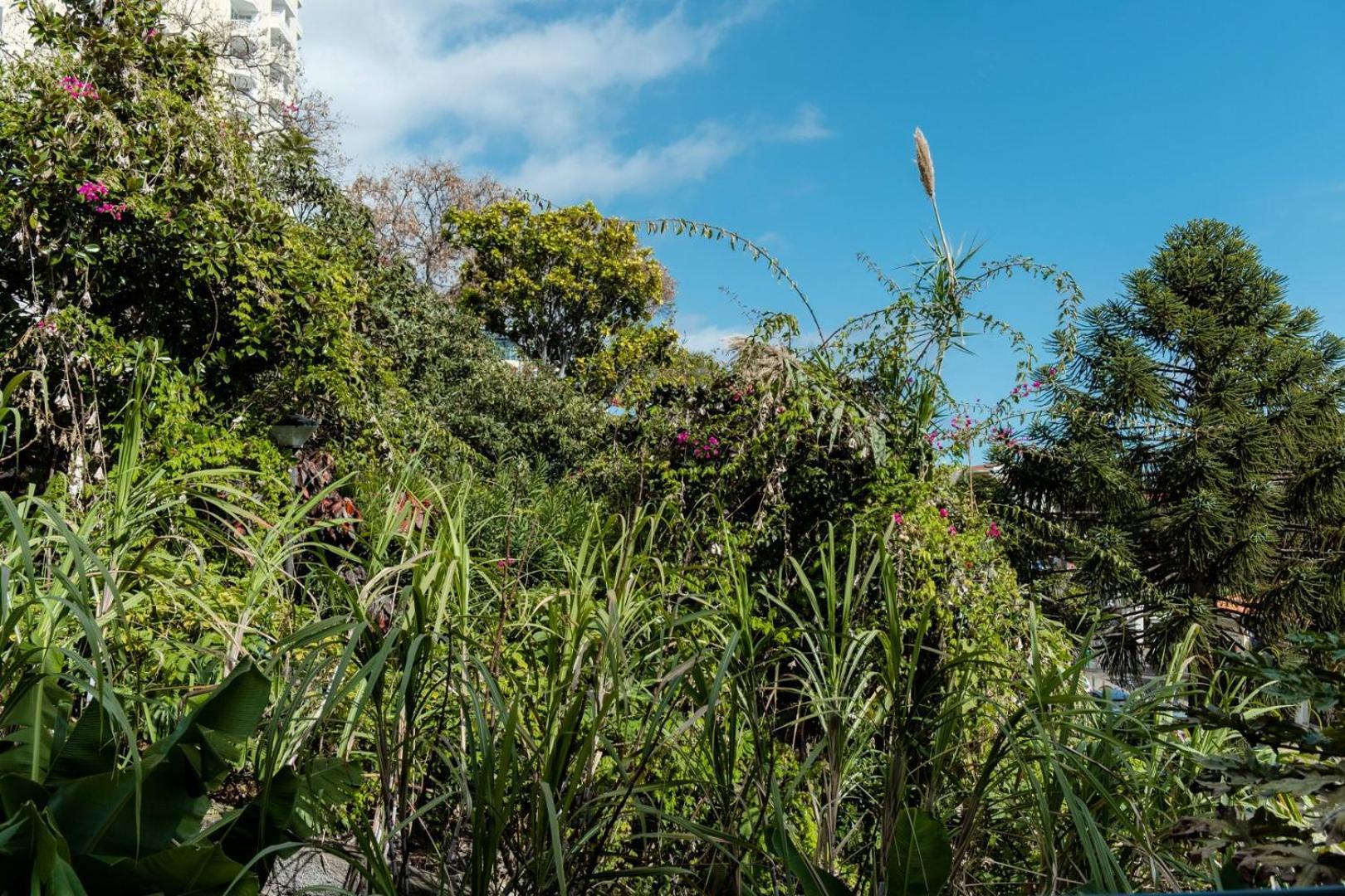 Guestready - Lido View Near The Beach Apartment Funchal  Luaran gambar
